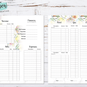 Big Happy Planner Finances - Hexi 2-Page Printable