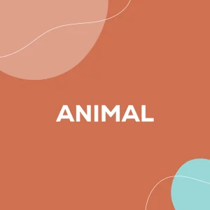 Animal
